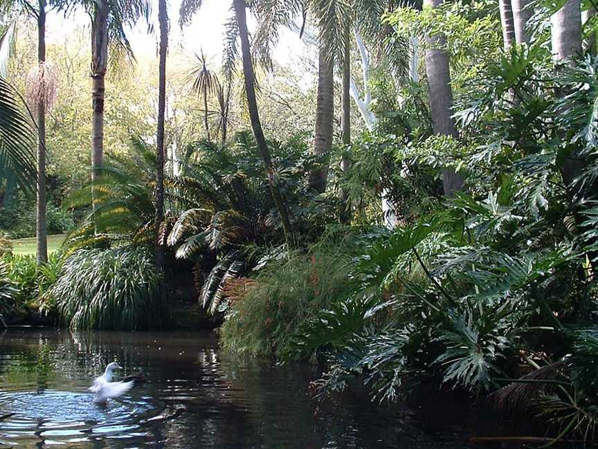 EG Waterhouse National Camellia Gardens, Caringbah, NSW