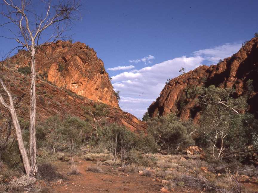 N’Dhala Gorge Nature Park, Alice Springs, NT