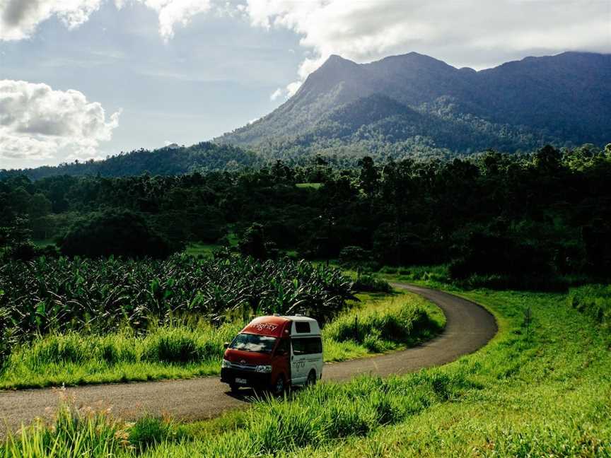 Mt. Bartle Frere, Cairns City, QLD