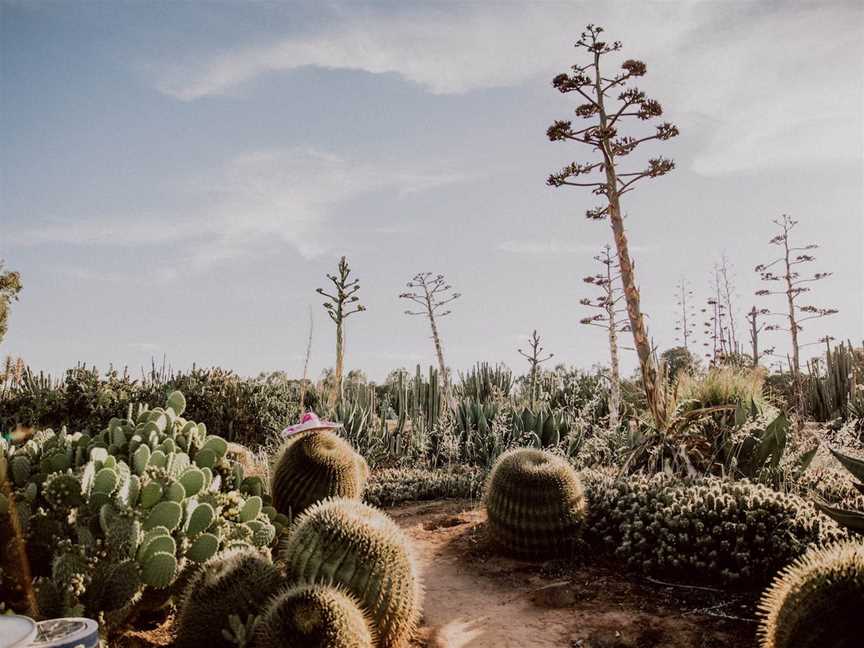 Cactus Country, Strathmerton, VIC