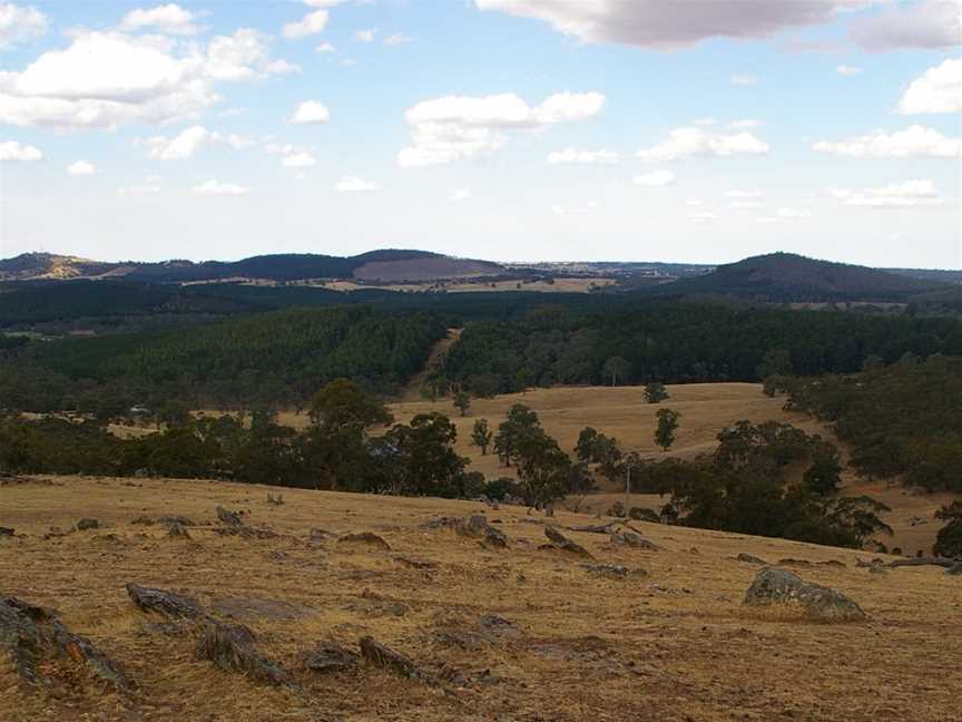 Mount Crawford Forest, Mount Crawford, SA