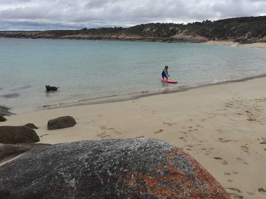 Allports Beach Picnic Area, Flinders Island, TAS