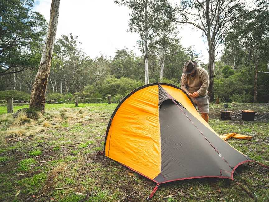 Barrington Tops State Forest, Gloucester, NSW