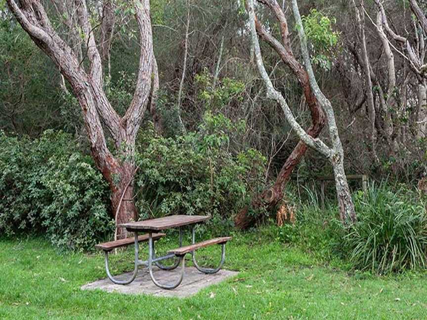 Hammerhead Point picnic area, Beecroft Peninsula, NSW