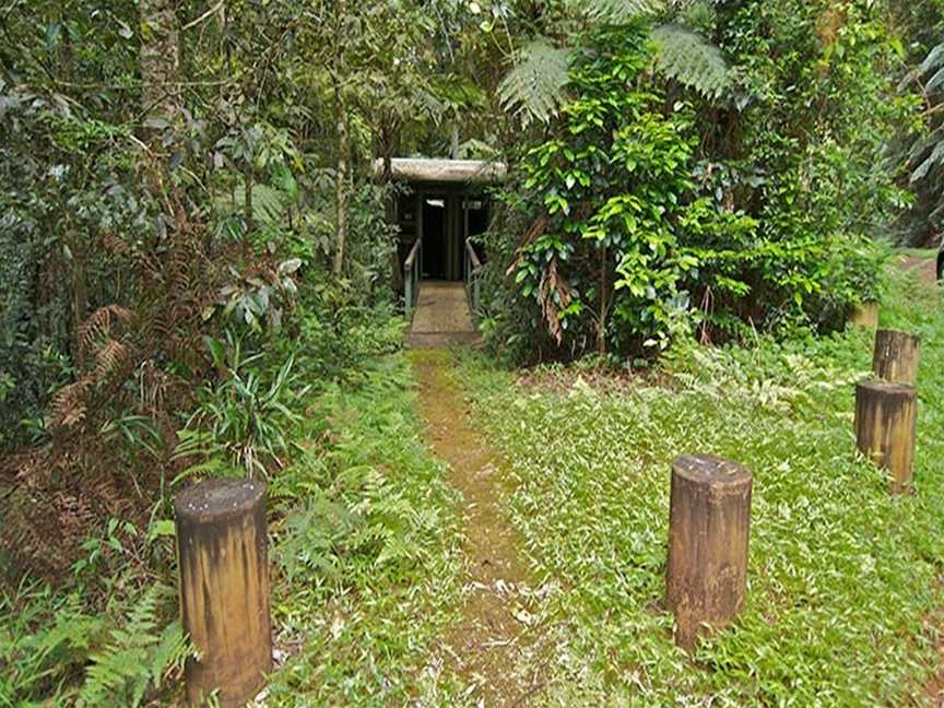 Brindle Creek picnic area, Border Ranges, NSW