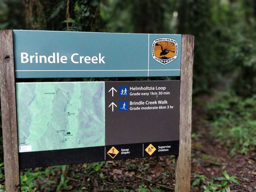 Brindle Creek picnic area, Border Ranges, NSW