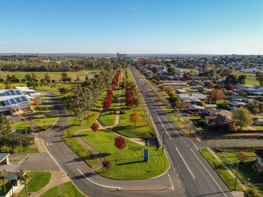 Federation Pathway, Junee, NSW