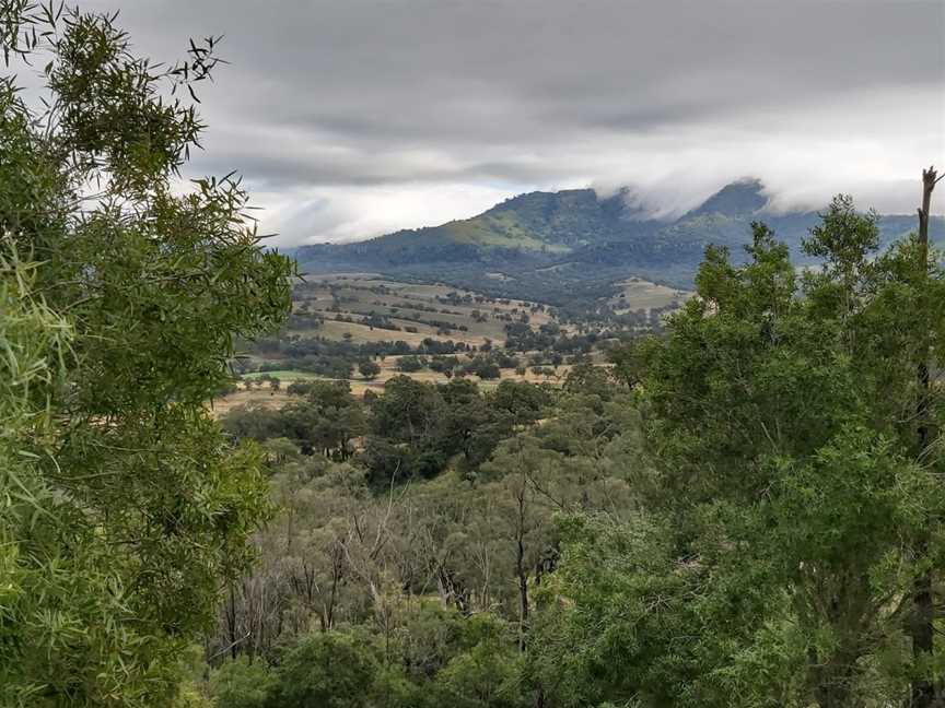 Burning Mountain Nature Reserve, Wingen, NSW