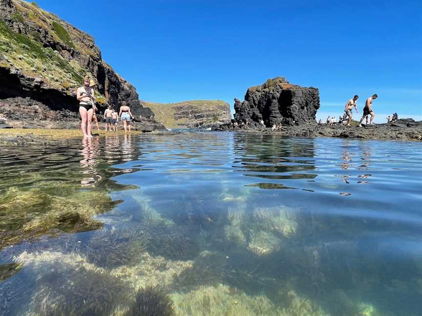 Bushrangers Bay, Cape Schanck, VIC