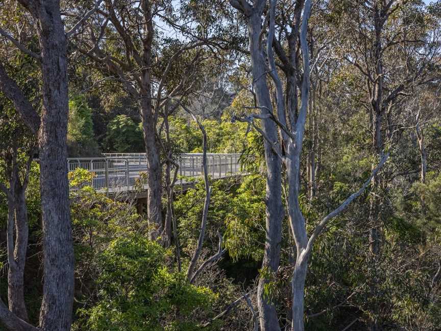 Lake Street Shared Path, Merimbula, NSW