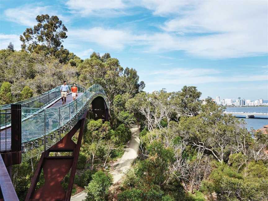 Kings Park Free Guided Walks, West Perth, WA