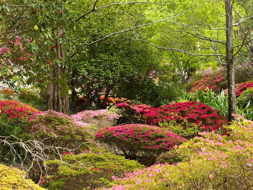 Mount Lofty Botanic Garden, Crafers, SA
