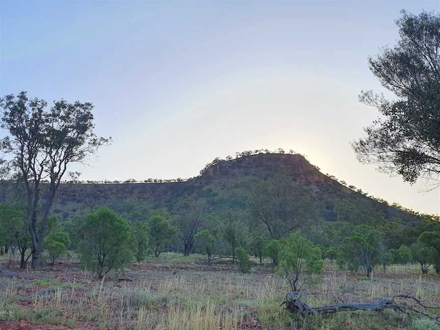 Mount Oxley, Bourke, NSW