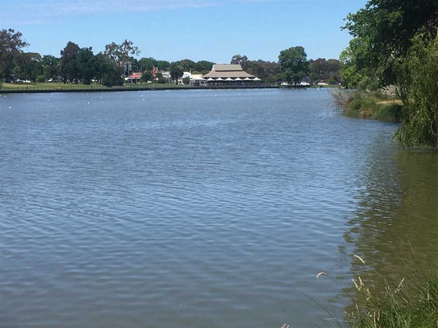 Lake Weeroona, Bendigo, VIC