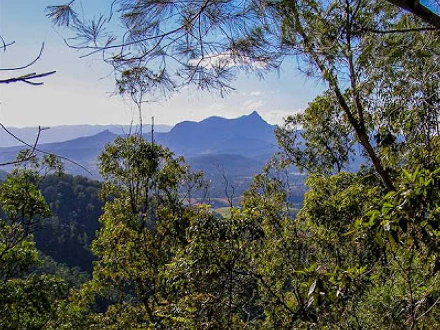 Nightcap National Park, Nightcap, NSW