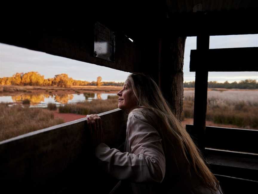 Reed Beds Bird Hide Boardwalk, Mathoura, NSW