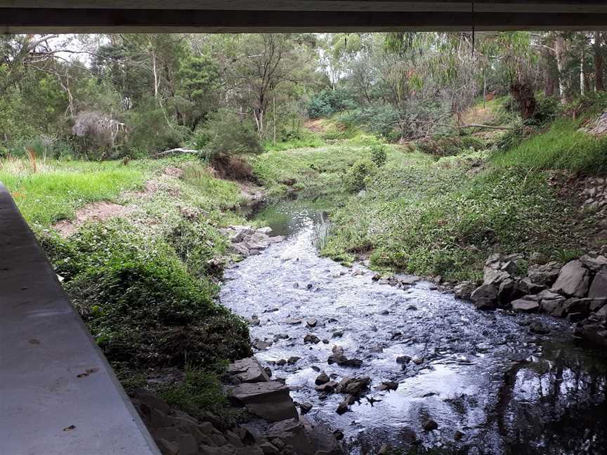 Koomba Park, Wantirna, VIC