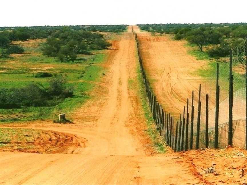 Sturt National Park, Tibooburra, NSW