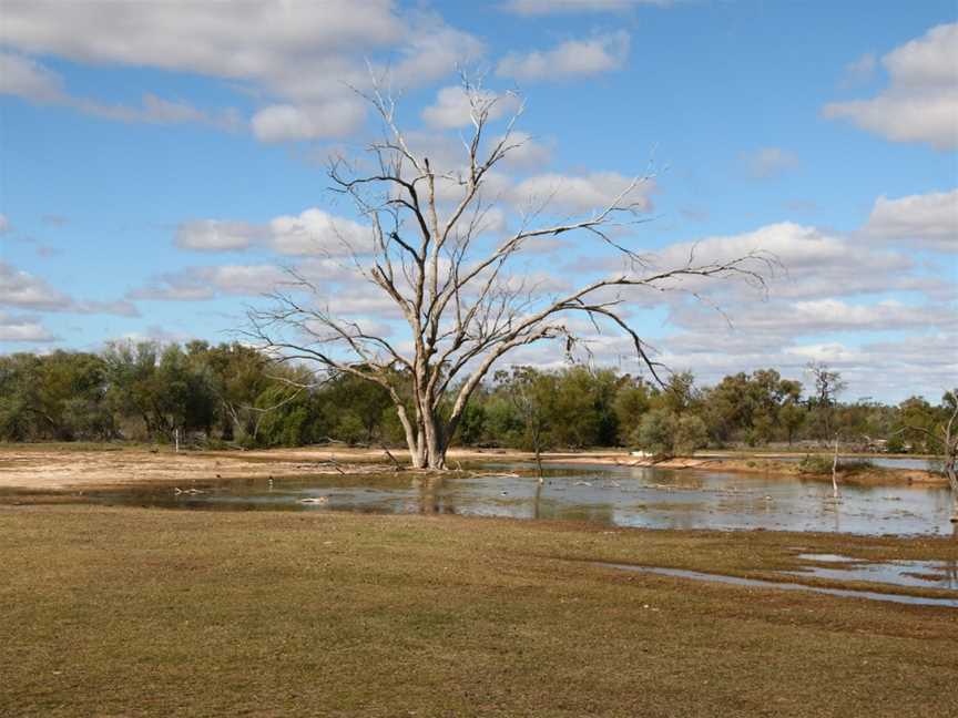 Bowra Sanctuary, Cunnamulla, QLD