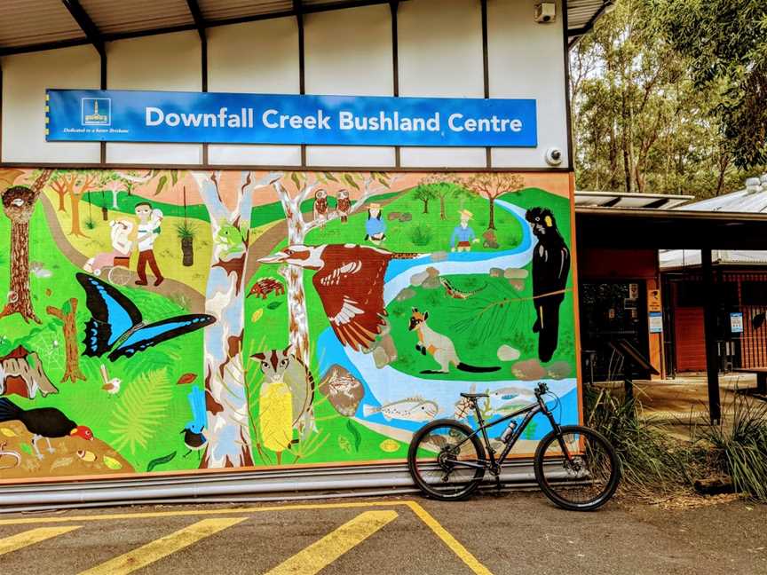 Downfall Creek Bushland Centre, Chermside West, QLD