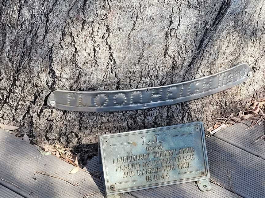 The Leichhardt Tree, Mackay, QLD