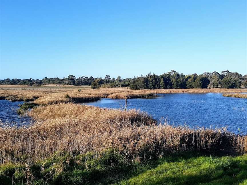 Edithvale-Seaford Wetlands, Seaford, VIC