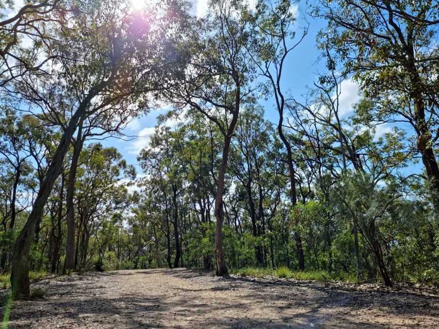 Seven Hills Bushland Reserve, Seven Hills, QLD