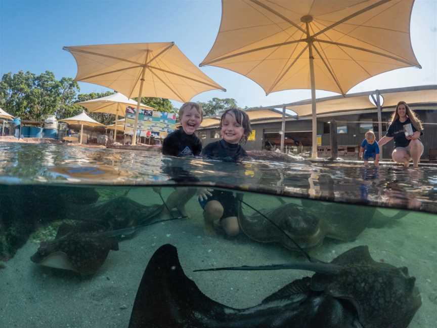 Irukandji Entry Pass + Shallows Encounter in Wetsuit Hire