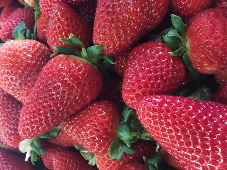 Handasyde Strawberries, Food & drink in Walmsley