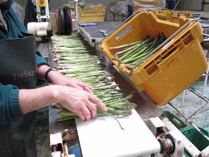 Torbay Asparagus, Food & Drink in Torbay