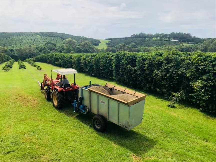 Zentveld's Coffee Farm & Roastery, Newrybar, NSW