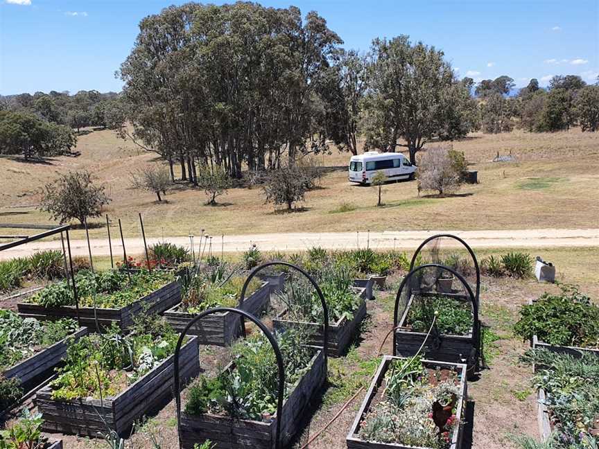 Aloomba Lavender, Stanthorpe, NSW