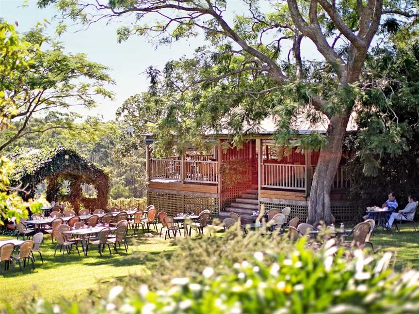 Little Fish Cafe Restaurant Vineyard, Port Macquarie, NSW