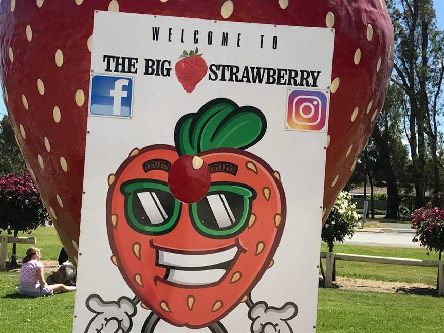 The Big Strawberry, Koonoomoo, VIC