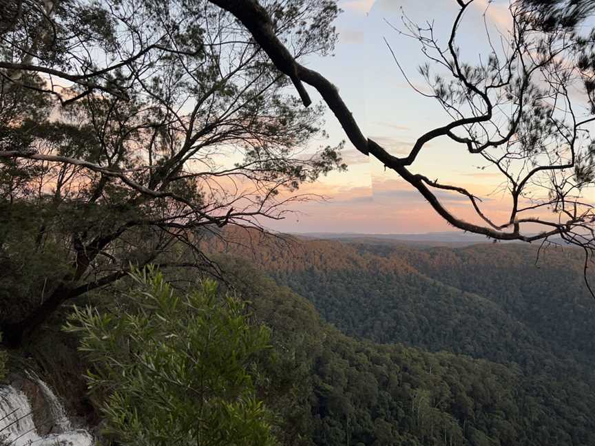 Greenwood Farm & Co, Springbrook, QLD