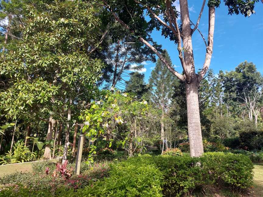 Stonebridge Gardens, Palmwoods, QLD