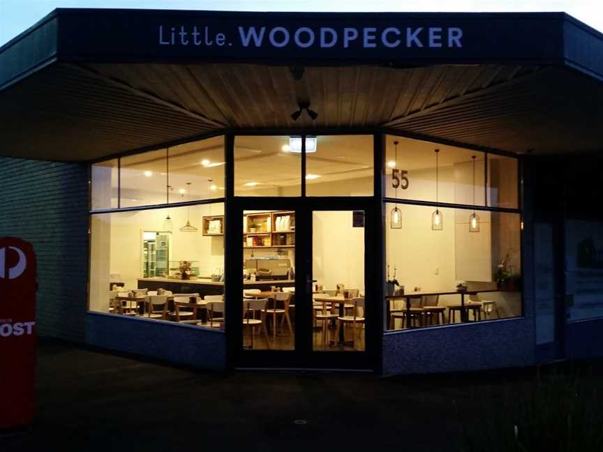 Little Woodpecker, Blackburn North, VIC