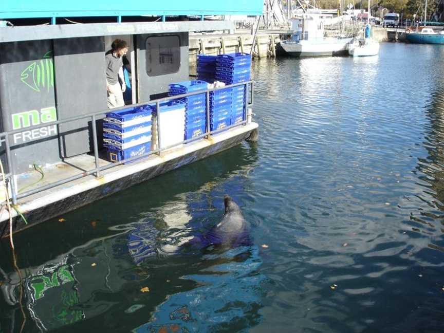 Mako Seafood, Hobart, TAS