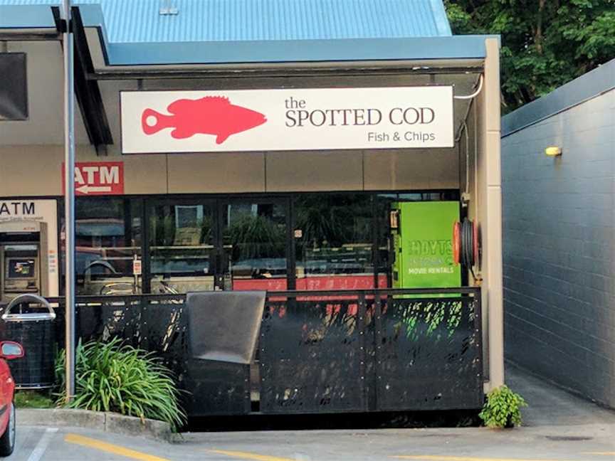 Spotted Cod - Wavell Heights, Wavell Heights, QLD