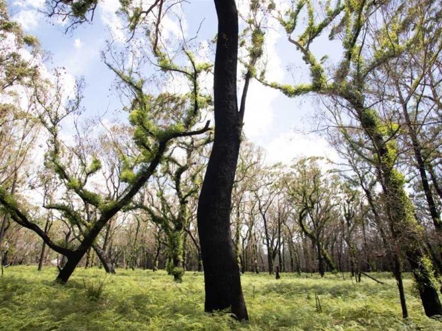 The Oaks Ranch, Mossy Point, NSW