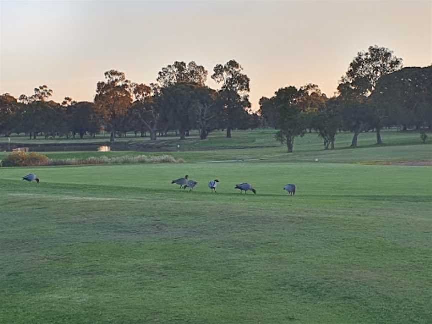 Rich River Golf Club, Moama, NSW