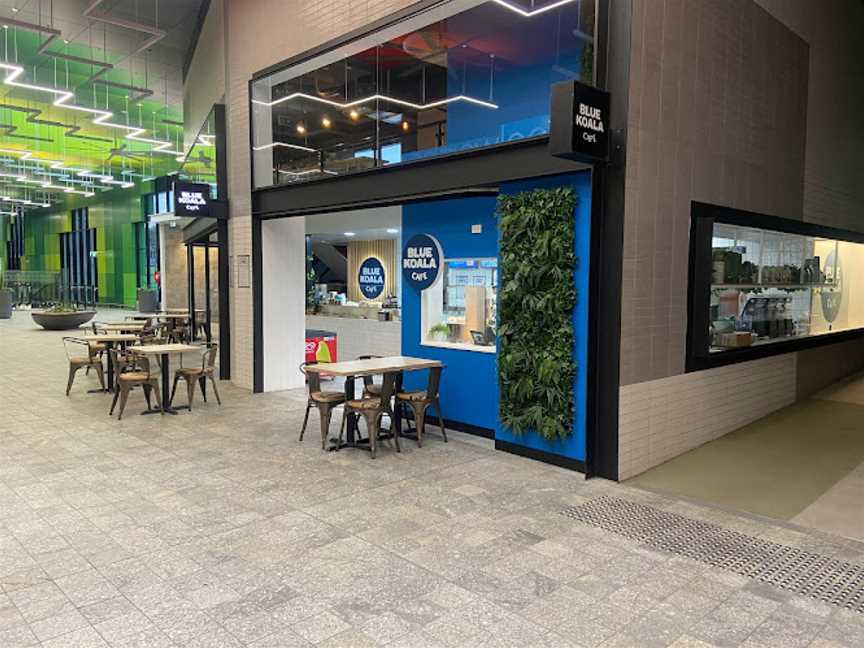 Blue Koala Cafe, Southport, QLD