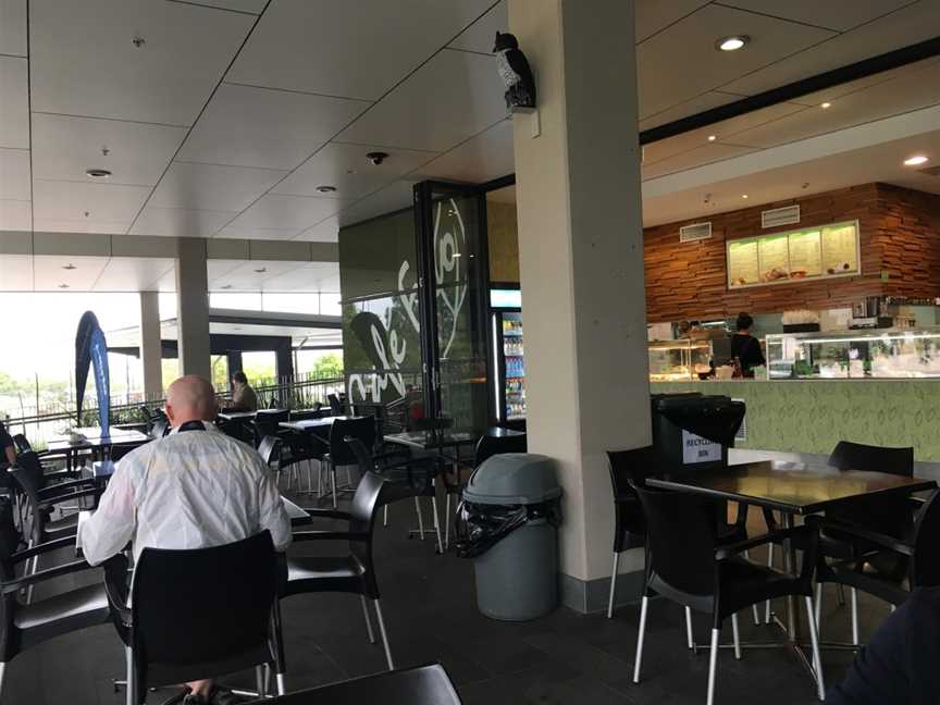 Café Eco, Dutton Park, QLD