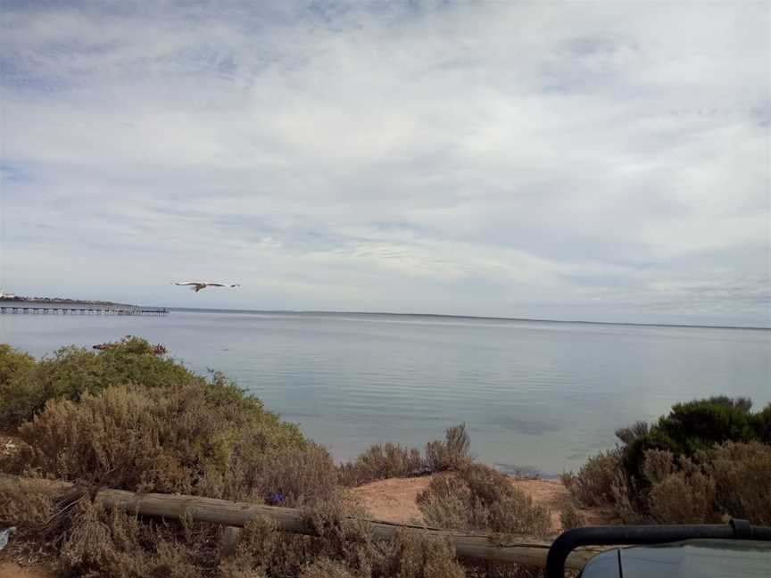 Ceduna Bakery Coffee Lounge, Ceduna, SA