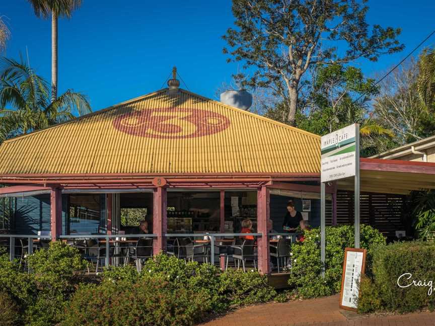 Maple 3 Cafe, Maleny, QLD