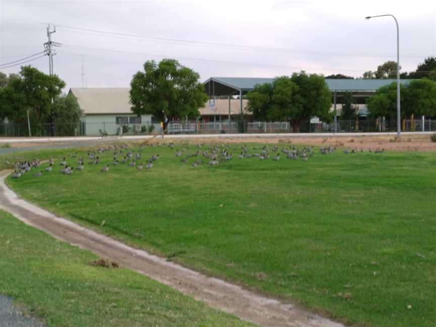 Murray terrace cafe, Euston, NSW