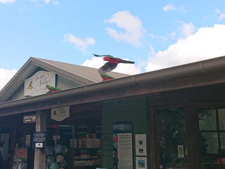 O'Reilly's Mountain Cafe and Gift Shop, O'Reilly, QLD