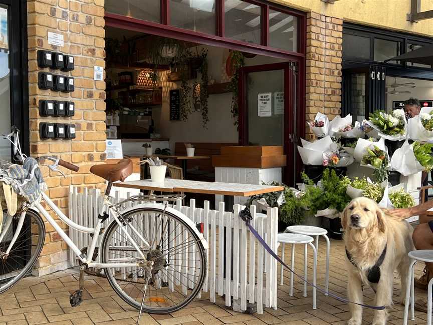 Papaya, Lennox Head, NSW