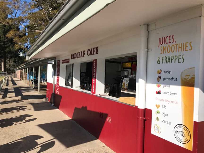Redleaf Cafe, Double Bay, NSW