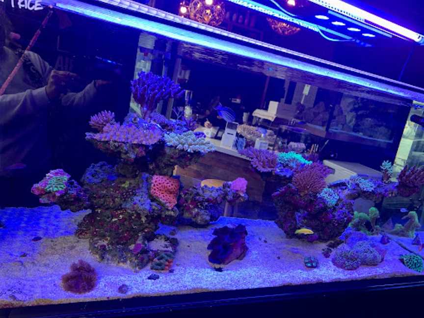 Reef Galleria Aquarium & Cafe, South Melbourne, VIC